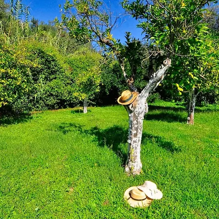 Portico Private With Pool | Corfu * Lefkimmi (Corfu)