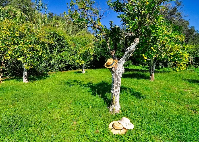 Portico Private With Pool | Corfu * レフキンミ